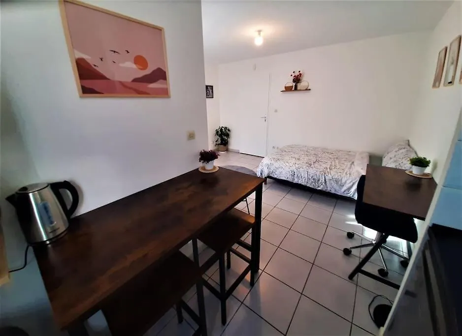 Studio Charmant Et Moderne Grand Confort Toulouse Appartement